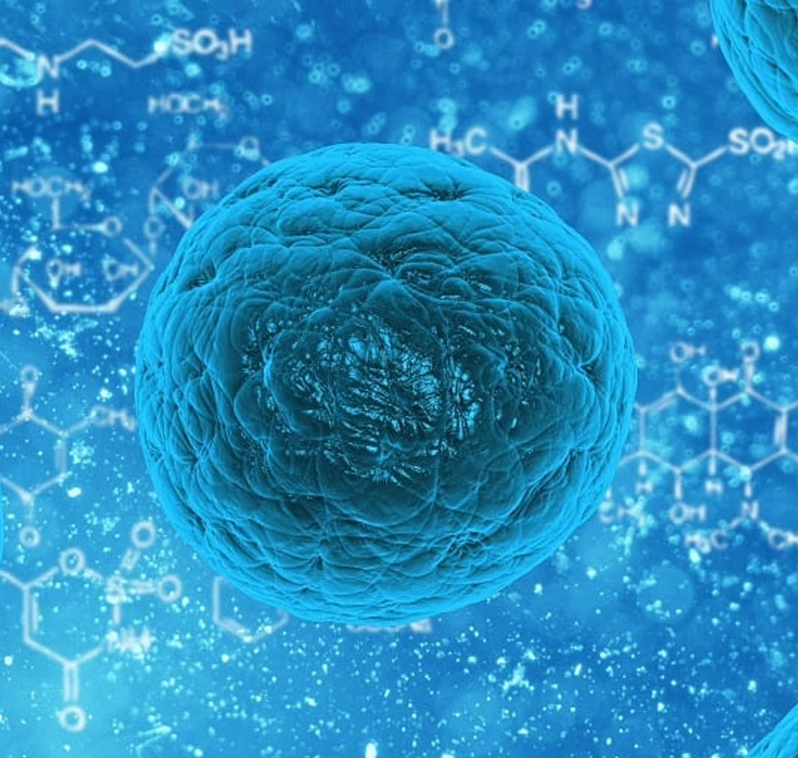 What is Immunotherapy?