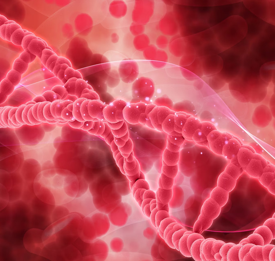 The Critical Role of Macrophages In The Immune System