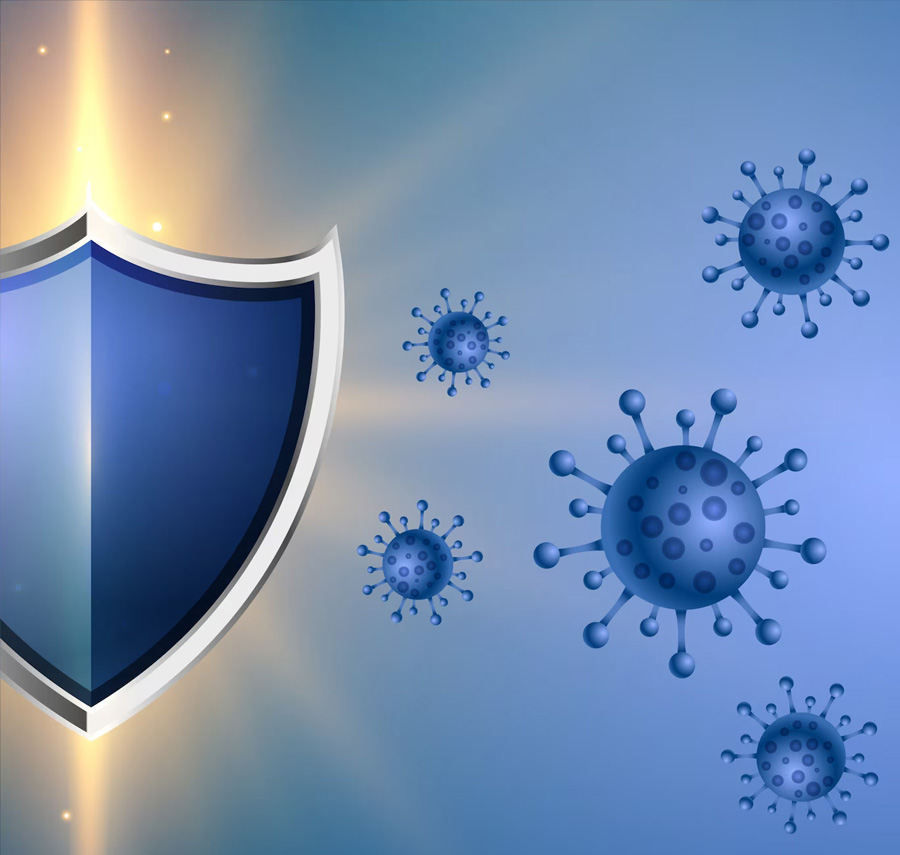 Introduction to The Immune System: Your Body's Defense Mechanism